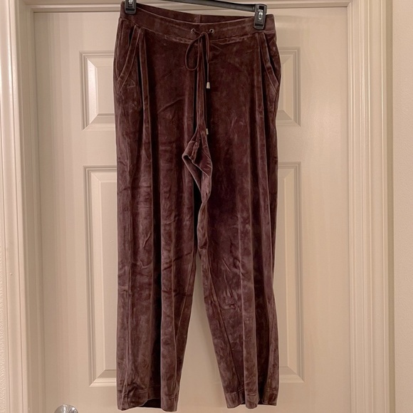 CHARTER Club Velour Brown Drawstring Pants Loungewear Sweatpants 1X - Picture 5 of 6